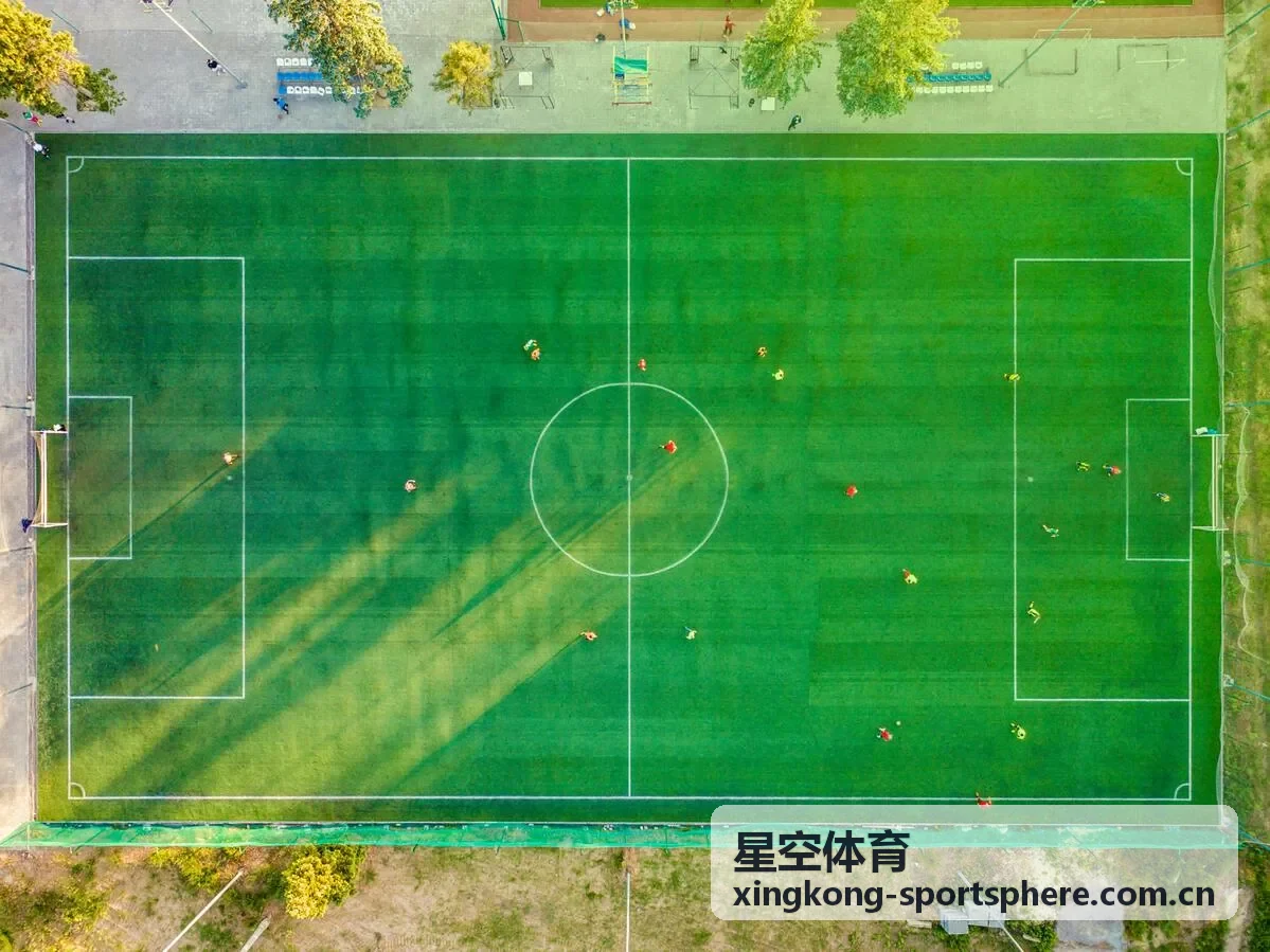 星空体育核心稳定性训练地面动作